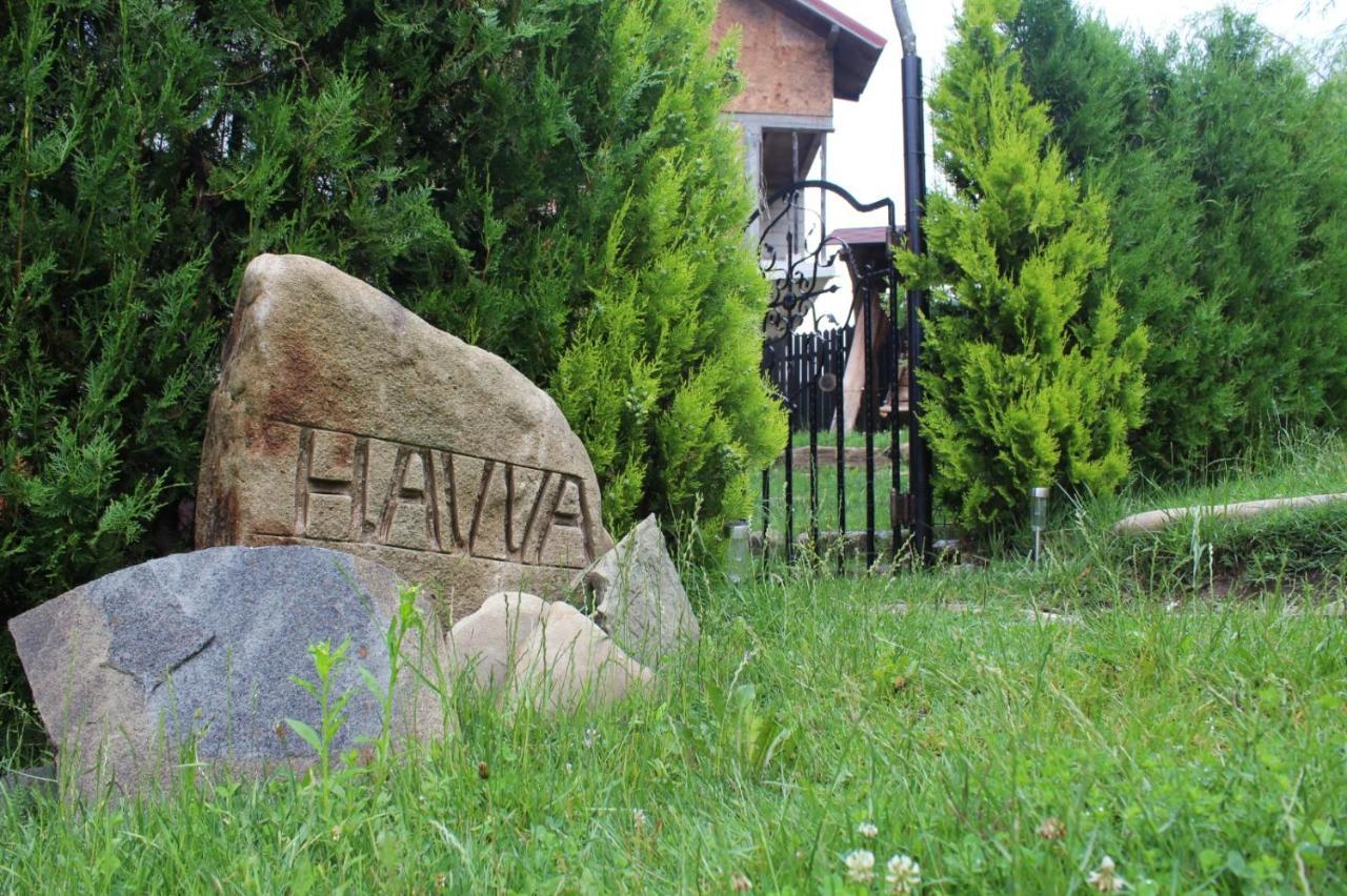 Havva Hotel Calimanesti Exterior photo